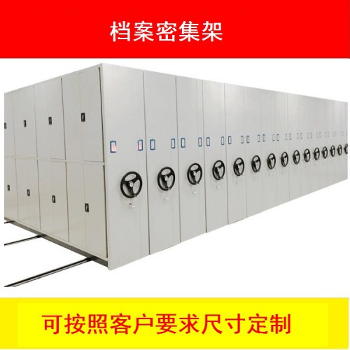 樟树密集架  档案柜定制 文件柜厂家定做