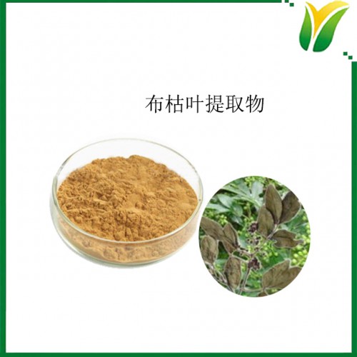 布枯叶提取物5：1 植物提取物