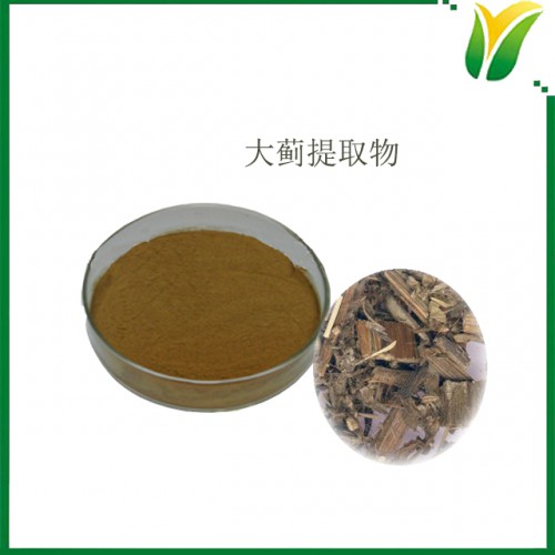 大蓟提取物5：1 植物提取物 大刺儿菜提取物