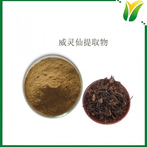 威灵仙提取物10：1 铁脚铁线莲提取粉