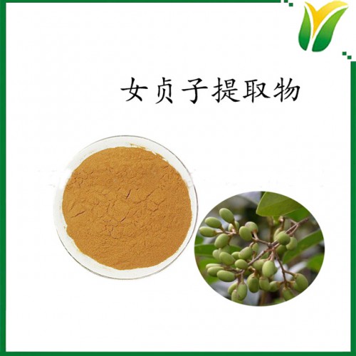 女贞子提取物5：1 女贞实比例提取粉  植物提取物