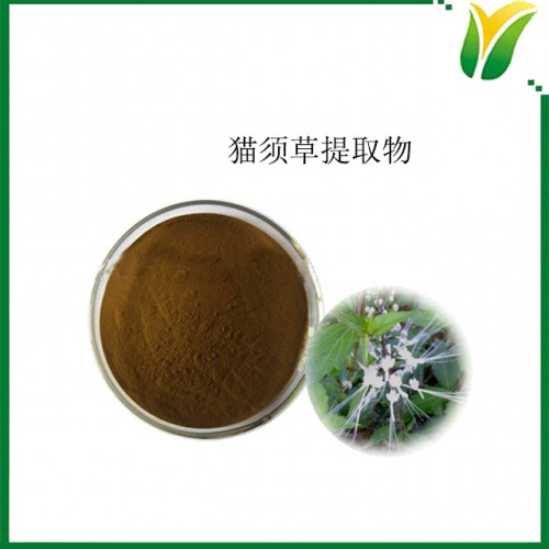 猫须草提取物5：1 猫须草水溶粉 植物提取物