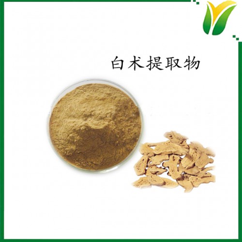 白术提取物10：1 冬白术提取物 植物提取物