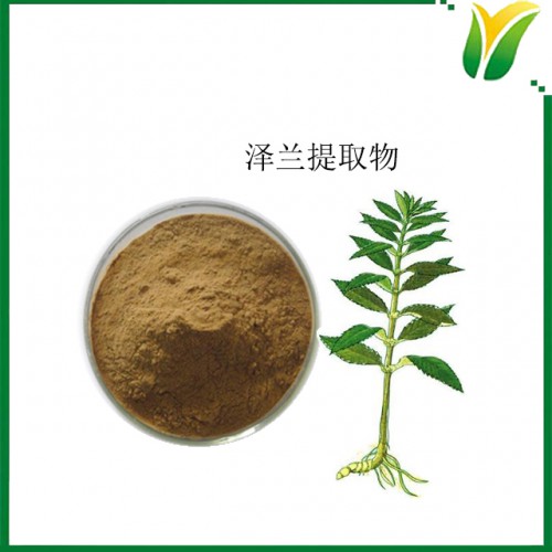 泽兰提取物5:1 植物提取物 西安维特