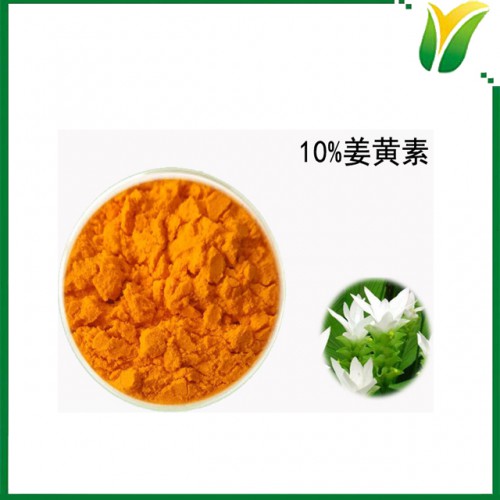 姜黄提取物 姜黄素10%  植物提取物
