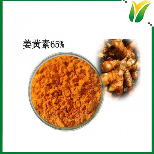 姜黄提取物 65%姜黄素 郁金萃取粉 植物提取物