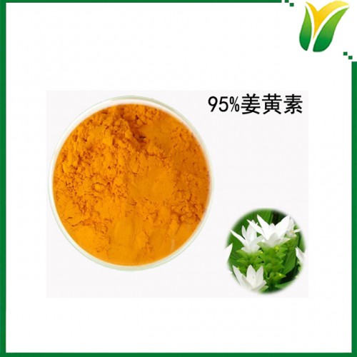 植物提取物 姜黄提取物 姜黄素95%