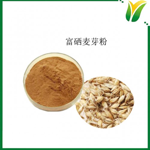 富硒麦芽粉  富硒麦芽提取物 植物提取物