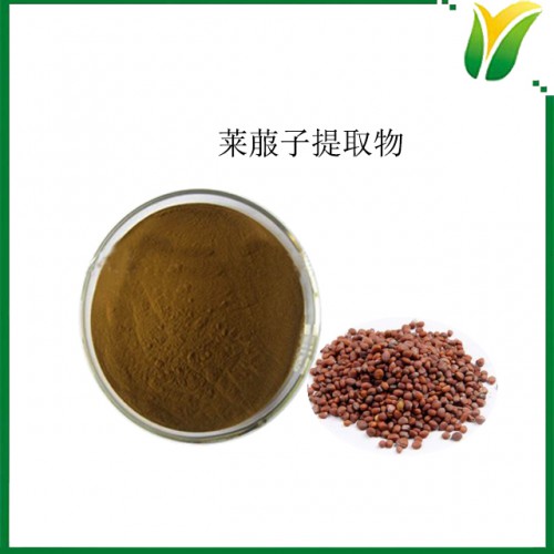 莱菔子提取物10：1 植物提取物