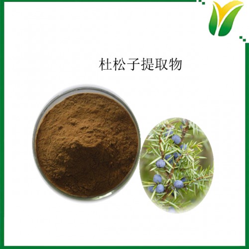 植物提取物 杜松子提取物10:1 杜松果实粉