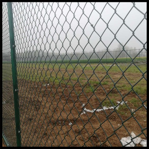 广州体育场围网 果园围网