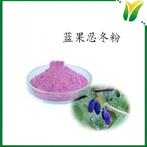 蓝果忍冬粉 蓝果忍冬果粉 植物提取物