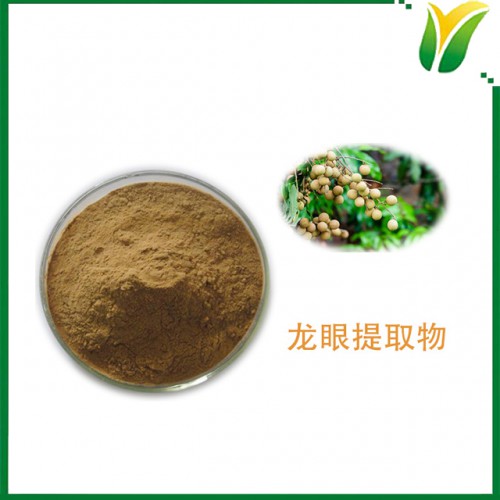 龙眼提取物5:1 桂圆提取物 龙眼肉提取粉植物提取物