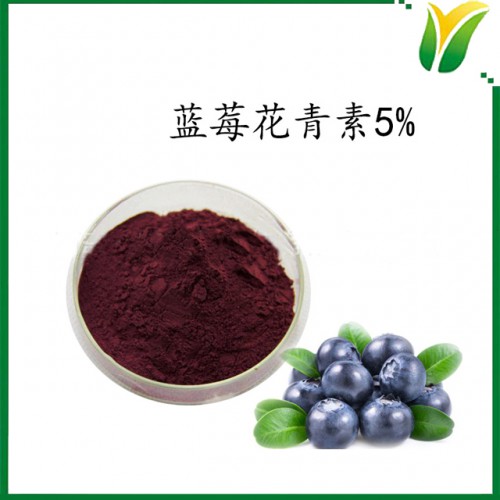 蓝莓提取物 蓝莓花青素5% 植物提取物