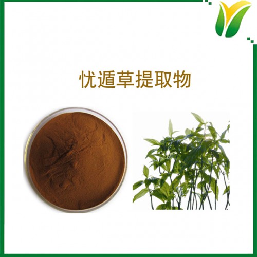 植物提取物 忧遁草提取物 5:1 忧遁草萃取粉