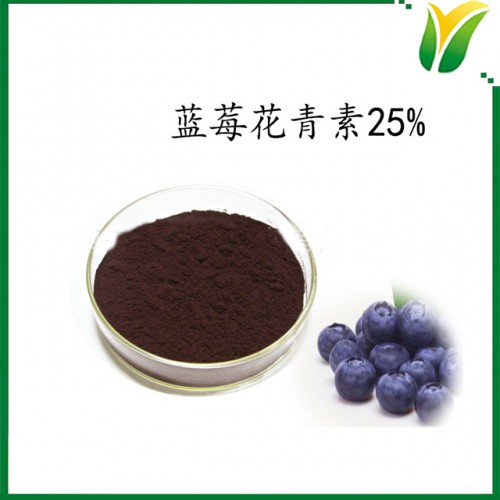 蓝莓提取物 蓝莓花青素25% 植物提取物