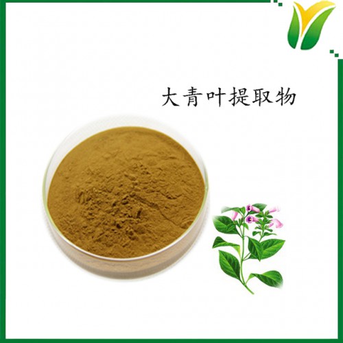 大青叶萃取粉 大青叶提取物5:1 植物提取物