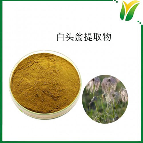 白头翁提取物5:1 奈何草萃取粉 植物提取物