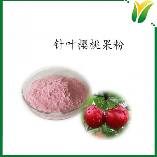 针叶樱桃粉 VC17% 植物提取物