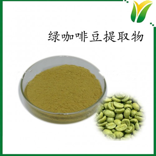 绿咖啡豆提取物10:1 绿咖啡豆萃取粉 植物提取物