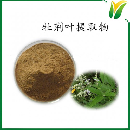 牡荆叶提取物5：1   牡荆叶比例萃取粉植物提取物