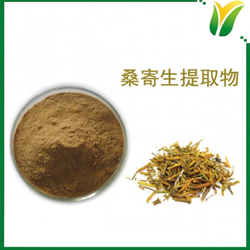 桑寄生提取物10:1 桃树寄生提取粉 植物提取物