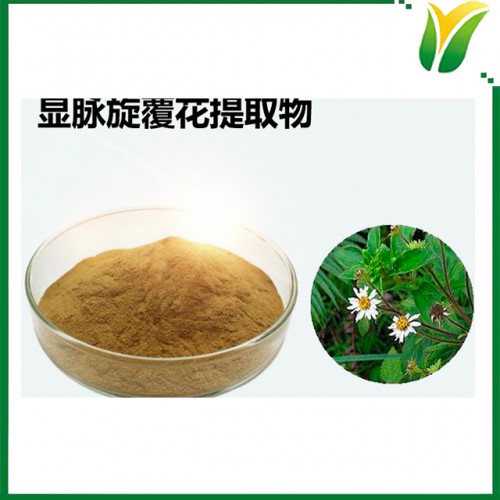 显脉旋覆花提取物5:1 小黑药萃取粉 植物提取物