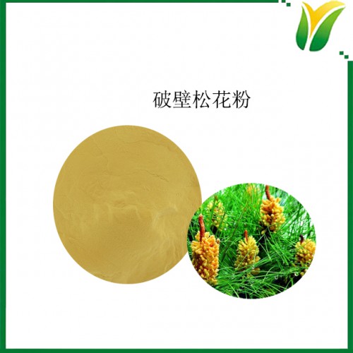 破壁松花粉 植物提取物 马尾松花粉