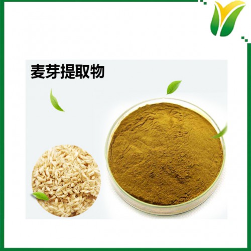 麦芽提取物10：1 植物提取物