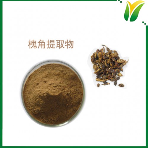 槐角提取物10：1 槐实提取物 植物提取物