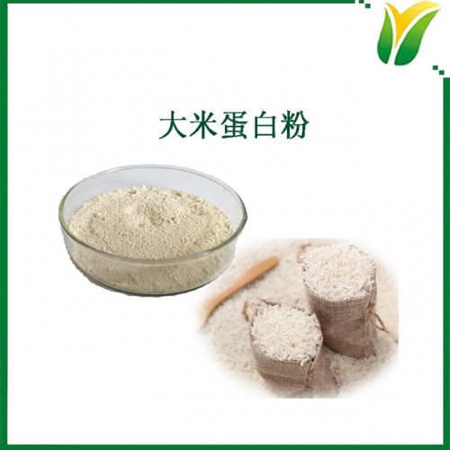 植物提取物 大米蛋白粉500目 大米蛋白粉