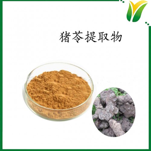 猪苓提取物多糖30% 豕苓真菌提取粉 植物提取物