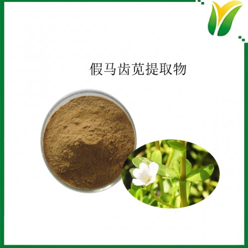 假马齿苋提取物5：1 植物提取物