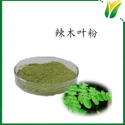 辣木叶粉 印度辣木叶生粉 植物提取物