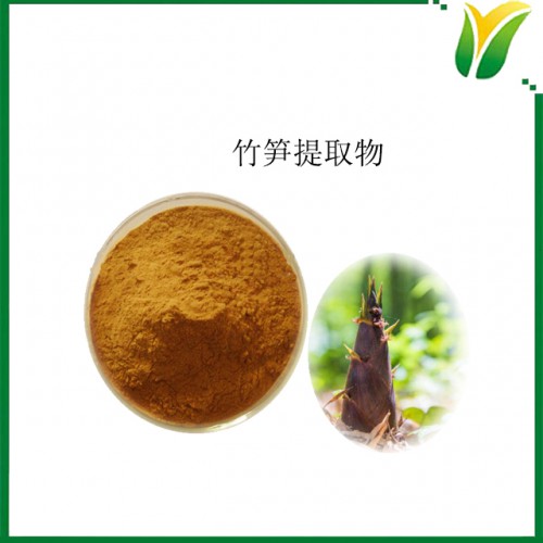 竹笋提取物10:1 植物提取物 竹笋粉