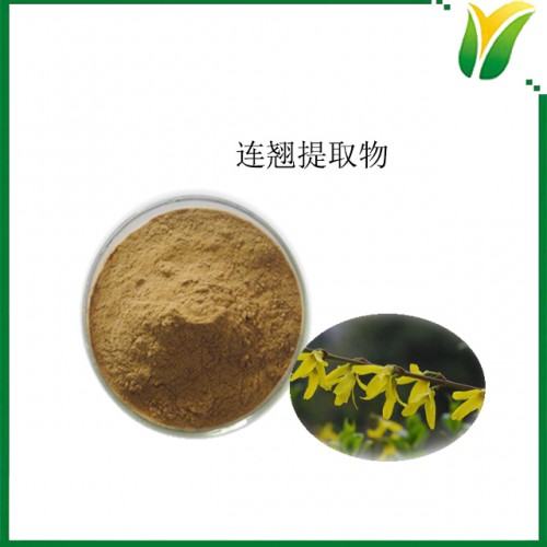 连翘提取物 连翘苷2% 植物提取物