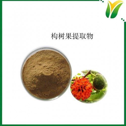构树果提取物5：1  植物提取物