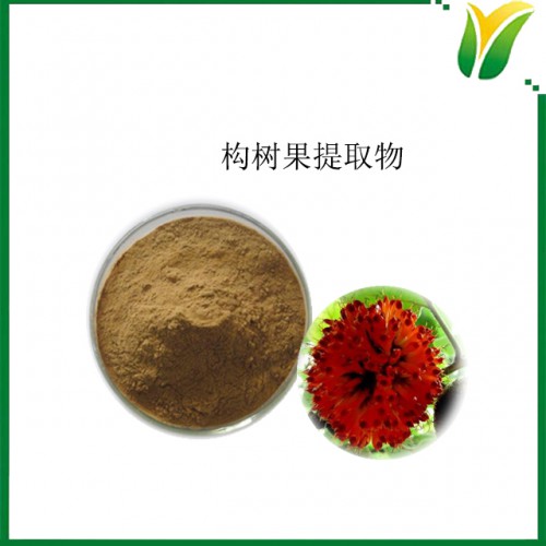 构树果提取物10：1 植物提取物 楮实子提取物