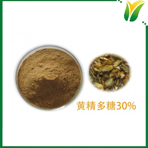 黄精提取物 黄精多糖30% 植物提取物
