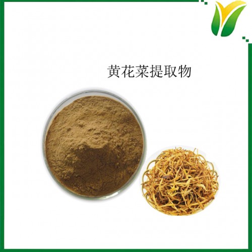 黄花菜提取物10:1 植物提取物