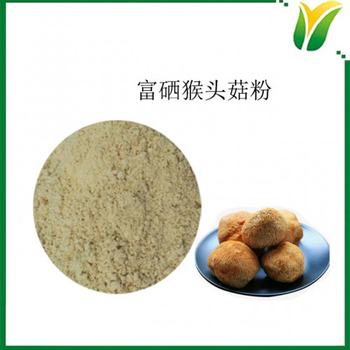 富硒猴头菇粉 猴头菇粉硒含量100微克 植物提取物