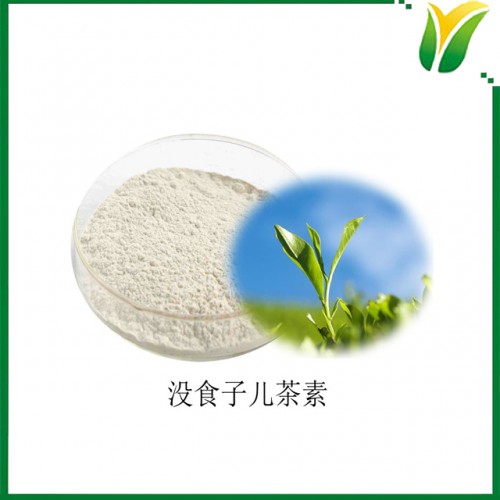 表没食子儿茶素 没食子酸酯90% 植物提取物