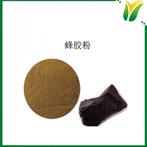 蜂胶粉 蜂胶黄酮12% 蜂胶含量70%