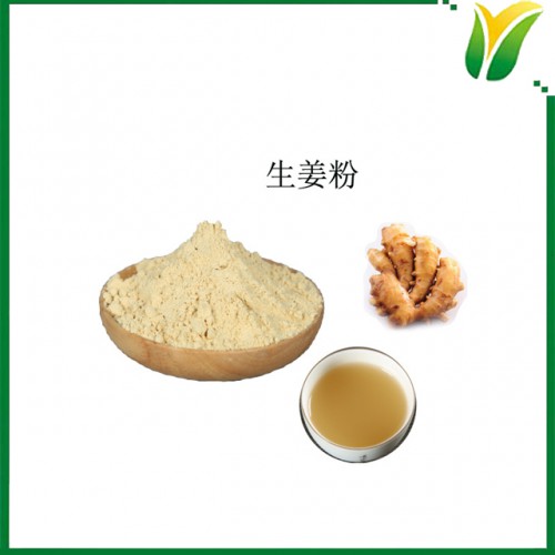 植物提取物 生姜粉 姜生粉 小黄姜粉 姜粉