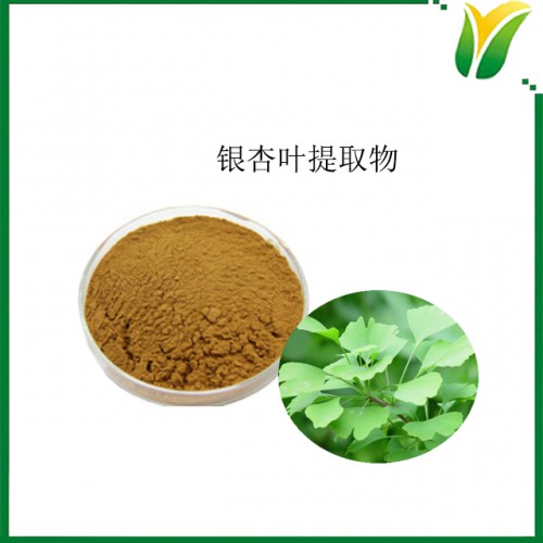 银杏叶黄酮5% 银杏叶萃取粉 植物提取物