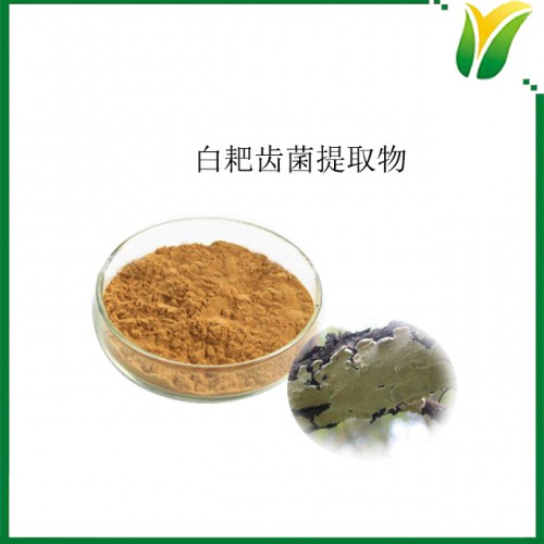 植物提取物 白耙齿菌提取物 多糖30%