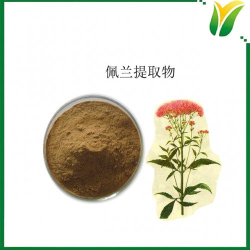 佩兰提取物5：1 水香比例提取粉 植物提取物