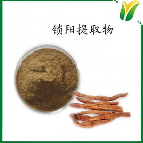 锁阳提取物10：1 植物提取物