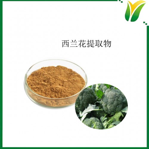 西兰花提取物10：1 青花菜提取物 植物提取物