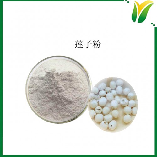 莲子粉 莲子生粉 植物提取物